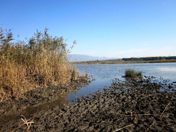 Buna Delta, AL © A.Nikodinovic 1.jpg